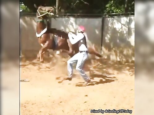 Well, Let's Hang Out For A Bit, You Asshole