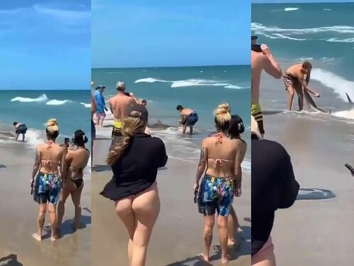 This Guy Caught A Shark