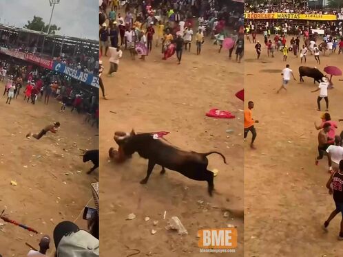 Idiot Trying To Headbutt A Charging Bull