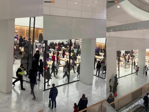 Witness A Group Of Low-class People Robbing An Apple Store In Broad Daylight