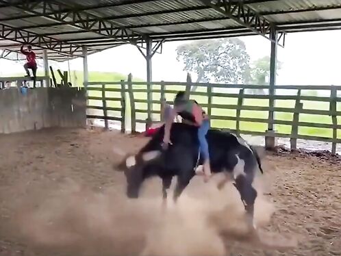 Rodeo Rider Jumps His Final Rodeo