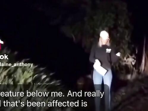 Ignorant Blonde Reporter Mistakes Mountain Lion For Dog