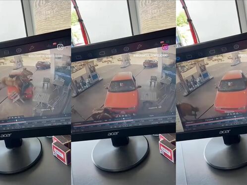 You Can't Take Revenge Like This.