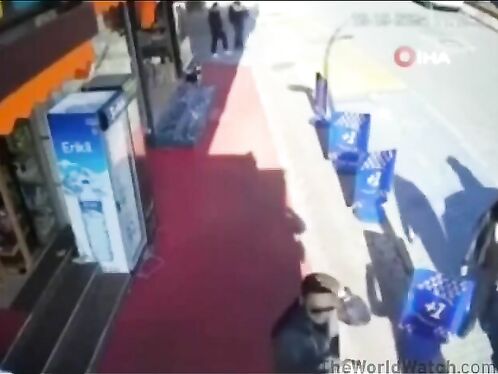 Cat Video Of The Year: "Seeing Shadows"