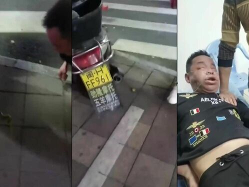 Playing With China's Most Venomous Snake Is Not A Good Idea