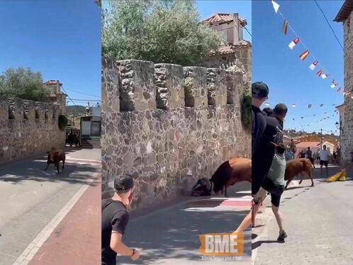 Bulls Send Pretentious Guy To Plastic Surgeon