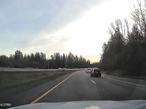 At Least He Gave Me A Sign Right Away Before Trying To Shoo Me Away.