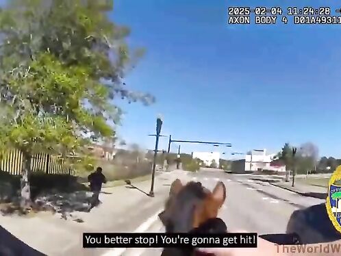 Policewoman On Horseback Chasing Drug Dealers