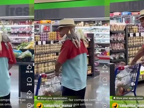 Brazilian Brings All His Cockatiels To The Store