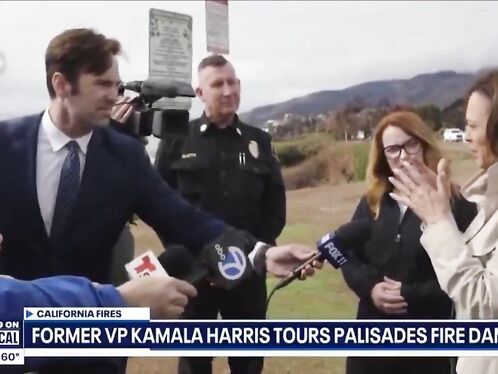 Has Kamalaâ€™s IQ Dropped The Last 15 Points Since The Election?