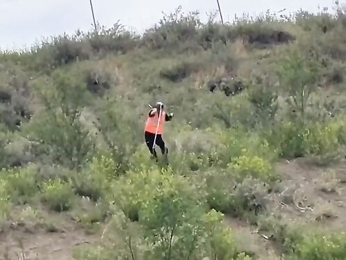 Farce, I Don't Know How Random It Is