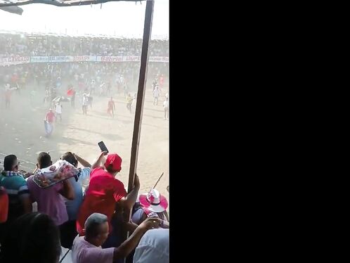 Killer Bull From Colombia