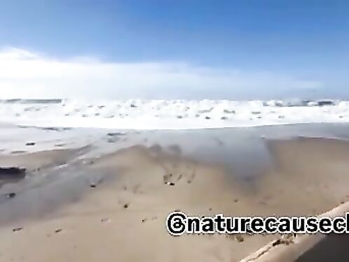 Shot On A Beach In California