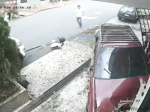 Man Walks Into Garden In Final Destination Style