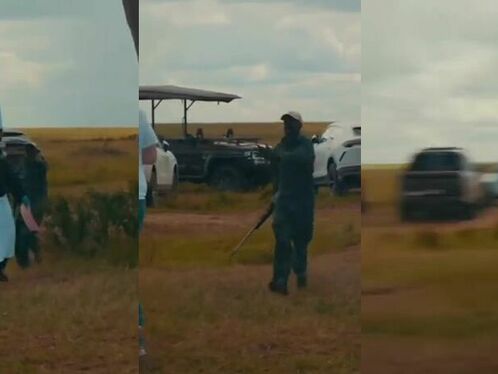 The Guide Announced That There Was A Pride Of Lions Nearby