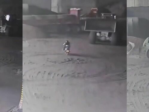 Too Stupid To Survive, But She Did