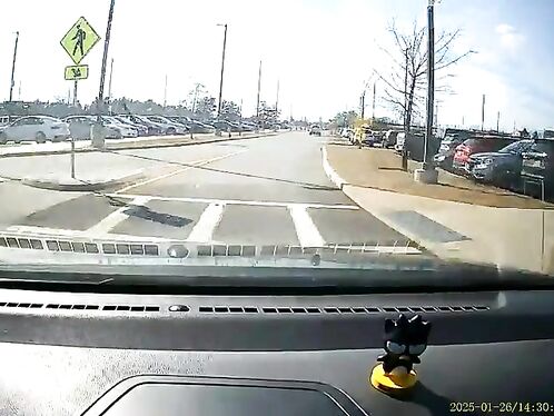 I Guess The Stop Sign Is Just Optional