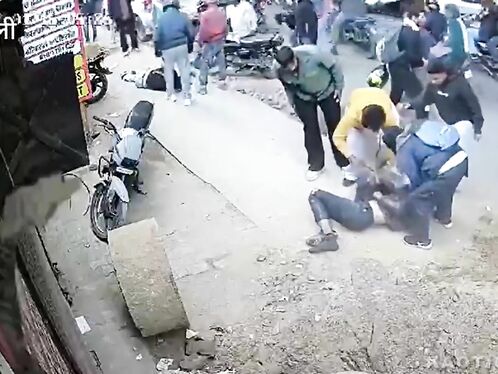 Where On Earth Did They Come From?