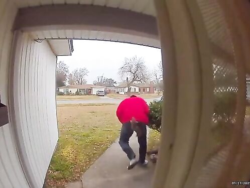 Man Attacked By Squirrel