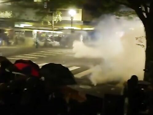 I Documented All The Protesters.