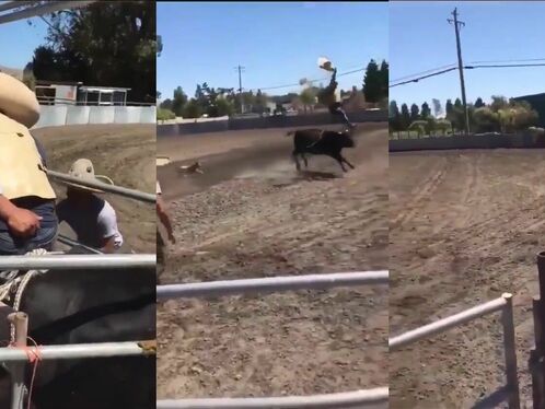 Bulls Vs. Fake Cowboys