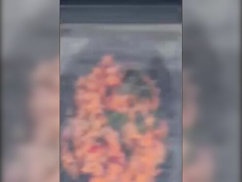 Strong MMA Fighters May Be Superhuman