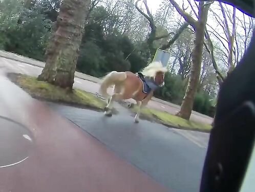 Her Hands Must Have Been Sweating The Whole Time.