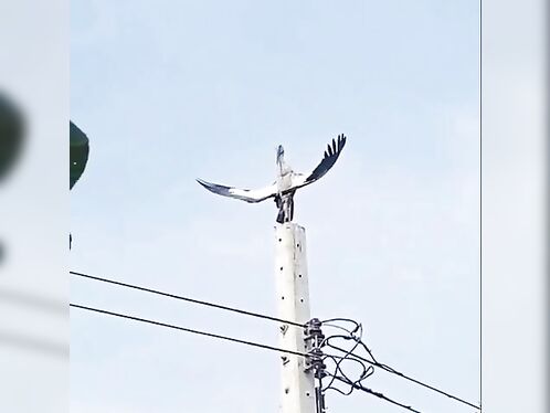 Bow Down To Me, People.