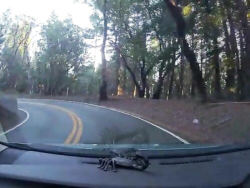 There Are Two Fools Today