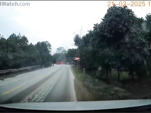 Final Destination: A Man Trimming Trees On The Roadside