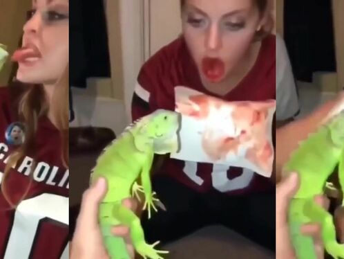 He Bit Her With Hatred