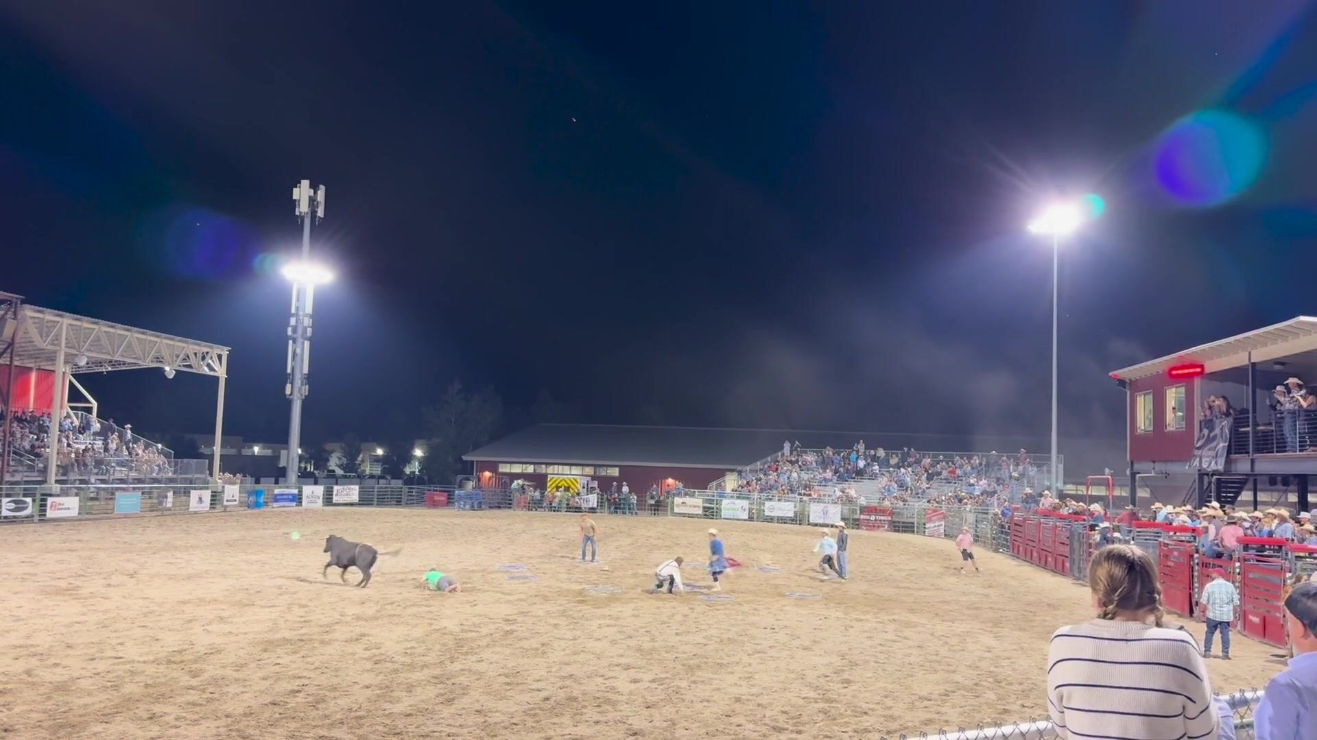 Spectators In Rodeo Ring Ring Of Fear At The Jackson Rodeo