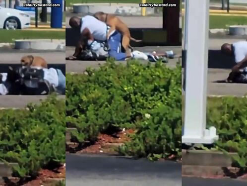 Don't Miss Your Opportunity