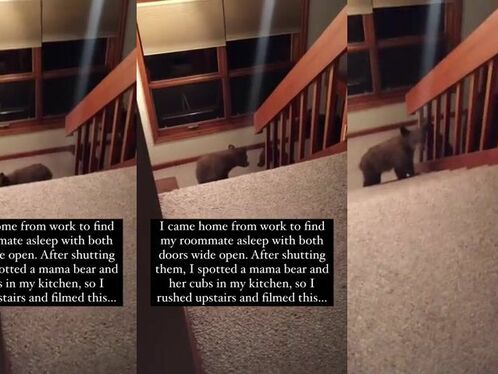 What Would You Do In This Situation?