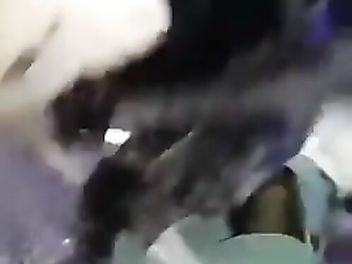 Some Of The Craziest Things Caught On Camera