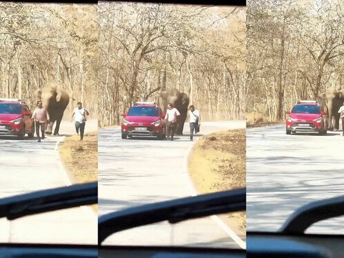 They Were Apparently Trying To Take A Picture With The Giant