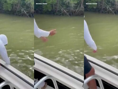 Never Put Your Hands In Salt Water