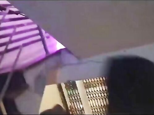 Captured Leopard Defending Itself