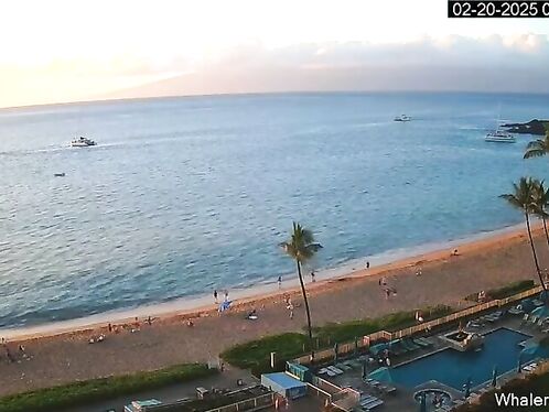 7 Injured In Maui Gas Grill Explosion