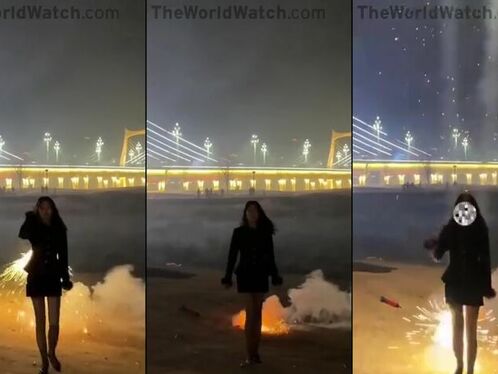 The Asian Tik Tok Challenge Was A Complete Success