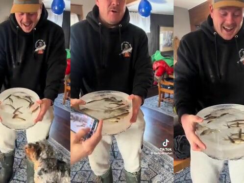 An Unexpectedly Frozen Aquarium