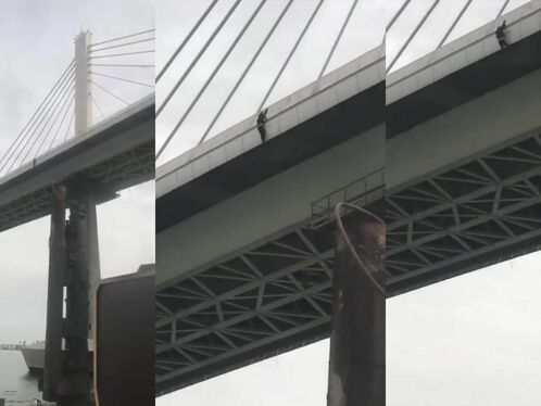 The Bridge Jumper Hit The Bridge Girder And Fell Into The Water