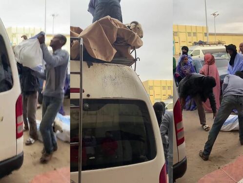 How To Transport Goats In Mauritania