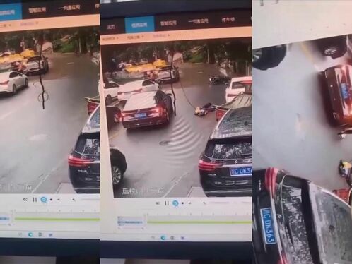 The Hanging Electric Shock Trap Finds The Perfect Victim