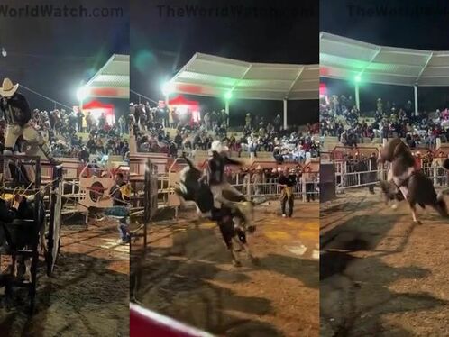 Man Breaks Leg While Playing With Bull