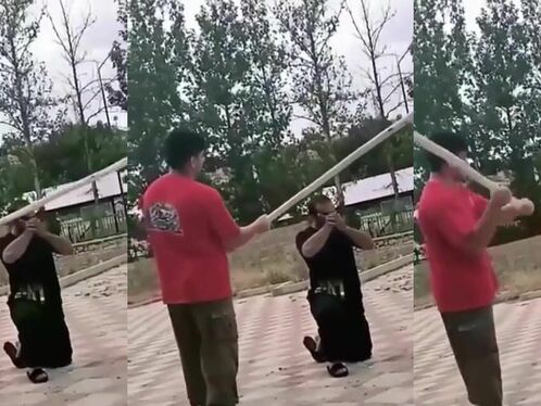 This Is A Martial Art You Cannot Understand.