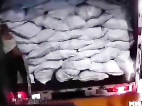 Don't Just Stand There, Bro.