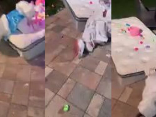 Maybe A Bunny Costume Doesn't Give You Bunny Powers