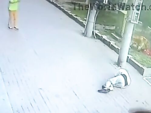 Man Knocked Unconscious By Cat While Walking Dog