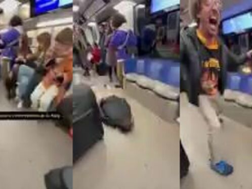 What The Hell Is This?